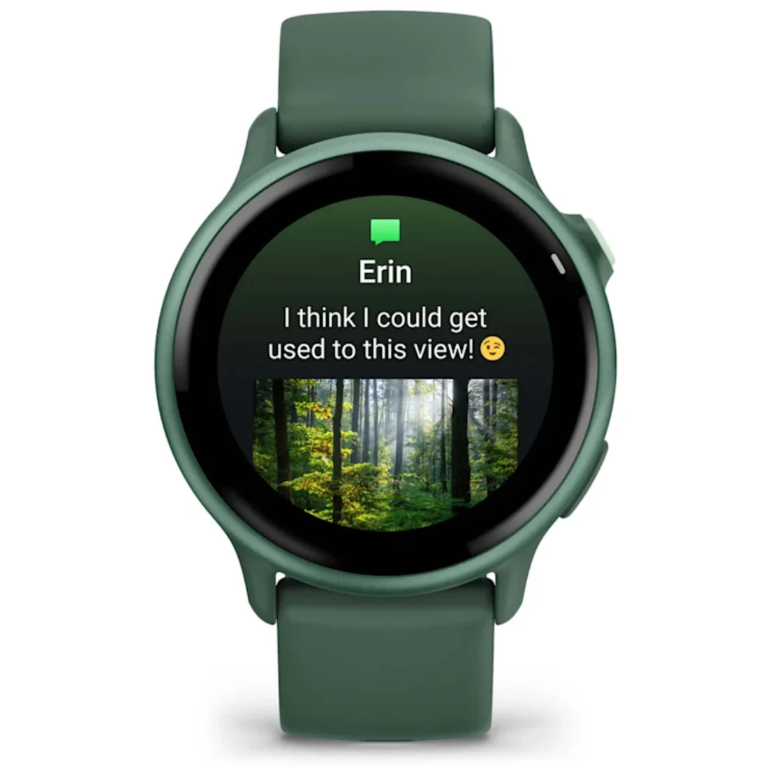 Умные часы Garmin vivoactive 6 Metallic Jasper Green with Jasper Green Band (010-02985-02)