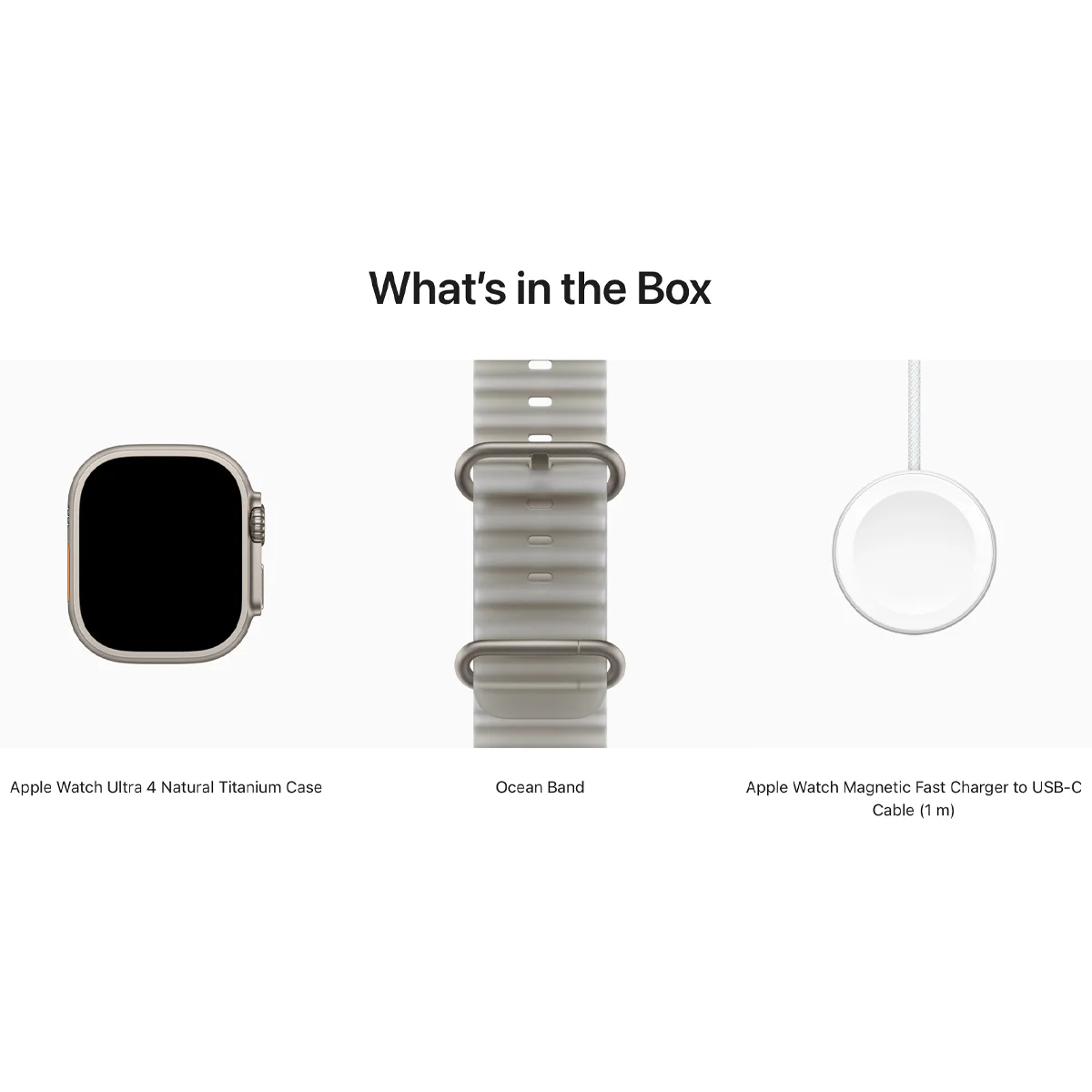Умные часы Apple Watch Ultra 4 GPS + Cellular, 49mm Natural Titanium Case with Translucent Grey Ocean Band