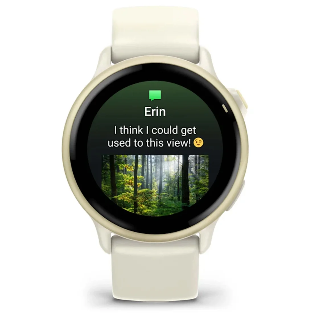 Умные часы Garmin vivoactive 6 Lunar Gold with Bone Band (010-02985-01)